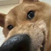 Bố mày ếch sena😏👍🏻