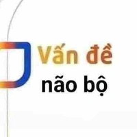 All các anh