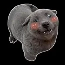 những nhân vật phụ