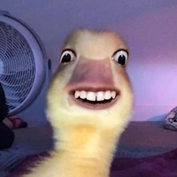 tg ngáo ngơ đây:))