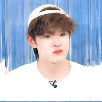 Tác giả ( bias ZJ ❤️ )