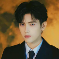 Trần Phi Vũ