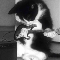 All - Cân mọi vai diễn _Nam, Nữ 