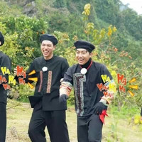 Hiếucris