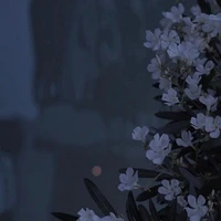 quỷ