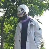 Error sans 505