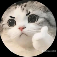 t/g Anyie