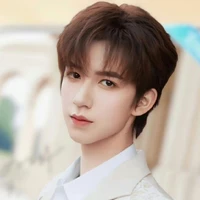 Hạ Tuấn Lâm (cậu)