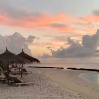 những người có mặt 