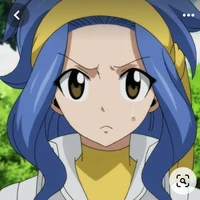 levy