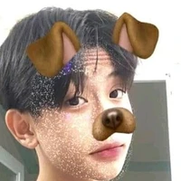 bảo