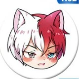 Todoroki Shouto