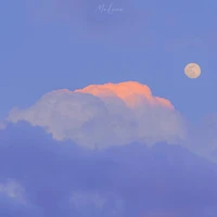 Cả lớp 