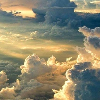 thần,thú lung tung