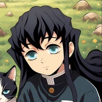 Muichirou tokitou
