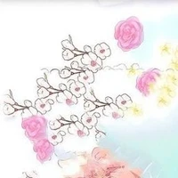 Những anh chị em của nu9