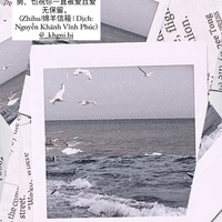 T/ giả
