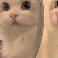 @陌生人.Người Qua Đường/Lạ