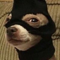 Con điên🤡