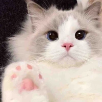 Tác giả nè (・∀・)