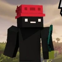 WINZ