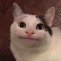 T/g ko bị hôi chân chỉ bị hôi náck:))