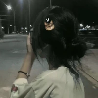 Hồ Ánh Nguyệt