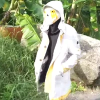 707 : trùm trường