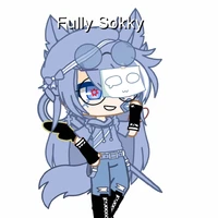 Fully Sokky (T/g)