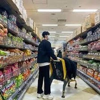 Bùi Gia Khánh _ bff n9_anh tuệ nhi