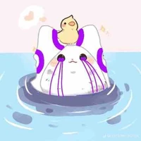 Error sans 505/bé 5