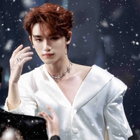 Đinh Trình Hâm(丁程鑫🦊)