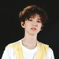 Hạ Tuấn Lâm