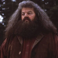 rubeus hadgrid