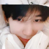 Trương Chân Nguyên