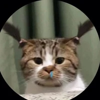 hân