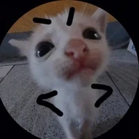Nhi