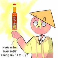 CHXHCNVN(nam nam,vivi,vie)