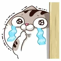 Winter(T/g, HT chủ)