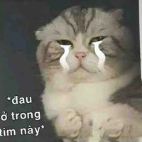 Nhóm xk