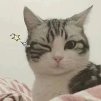 Tl
Con T/g này bị khùm