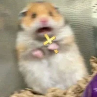 Tí{quýnh amen}