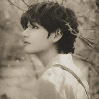 Kim Thái Hanh