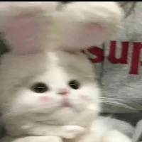 t/g