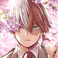Todoroki Shouto