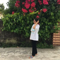 tác giả