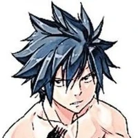 Gray Fullbutser (Souy)