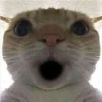 cân thế giới kể cả con ma