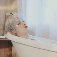 Đinh Trình Hâm 