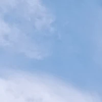 .. người làm.... chuyện